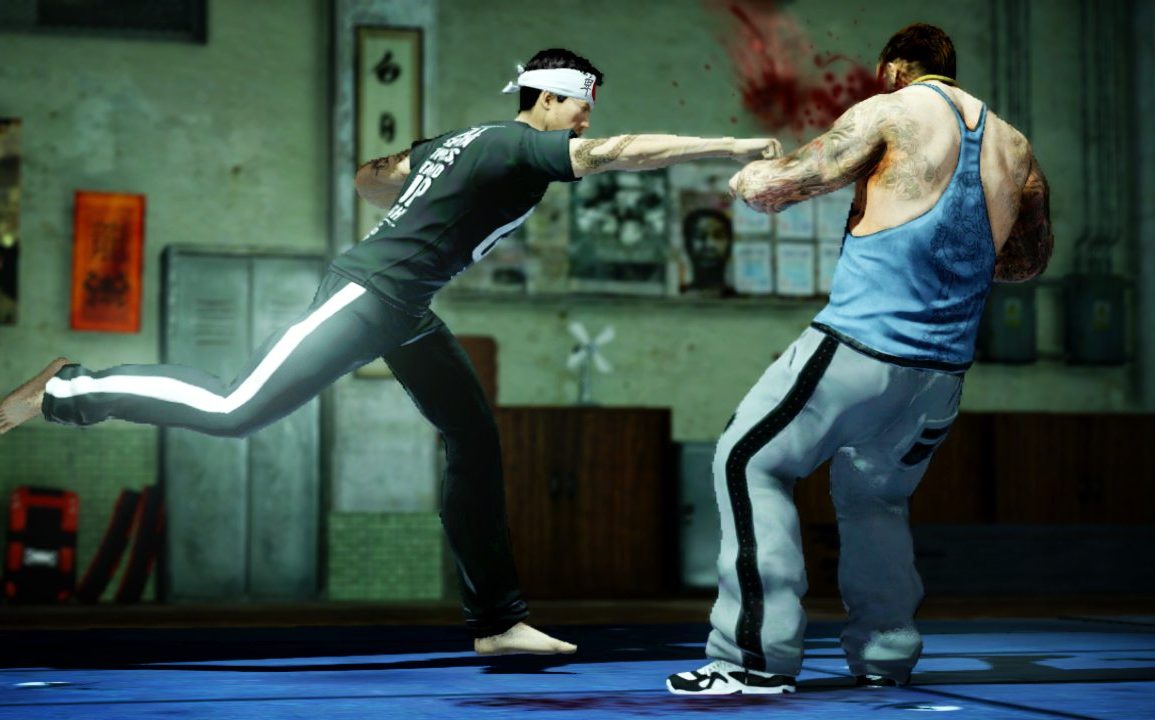 Sleeping Dogs GSP: Master Fighter 33