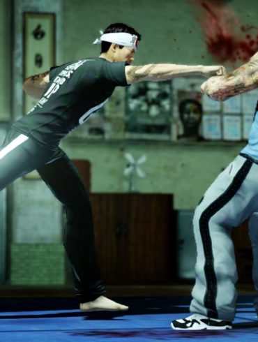 Sleeping Dogs GSP: Master Fighter 34