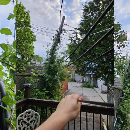 Bell Leaves Fallen Pole in Yard for Weeks Sparking Outrage 35