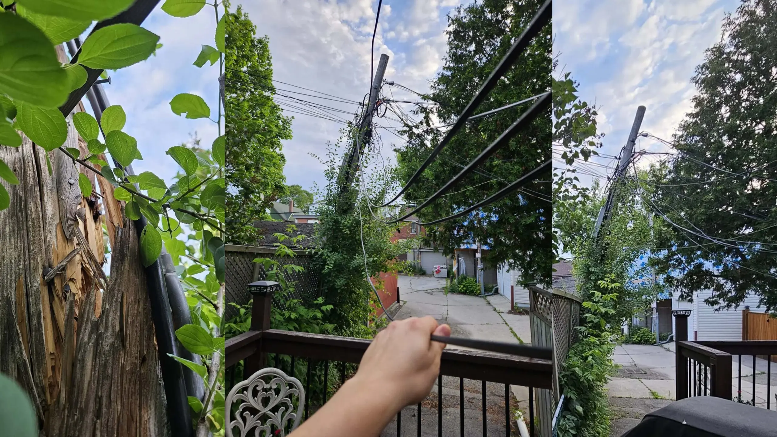 Bell Leaves Fallen Pole in Yard for Weeks Sparking Outrage 33