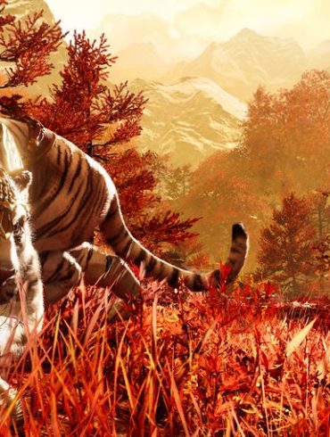 Far Cry 4 Review 34