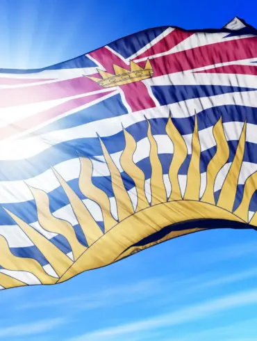 Discover the Exciting New Features in Version 1.0.0 Release 37