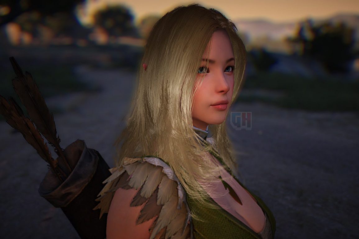 Black Desert - Closer Look to Character Details
