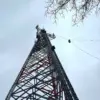 Alberta Community Faces Weeks Without Cell Service After Tower Loss 68