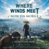 NetEase Launches Where Winds Meet on Android and iOS 40