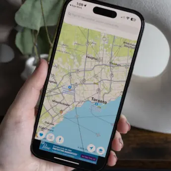 North American Free Roaming Zone May Not Happen After All 39