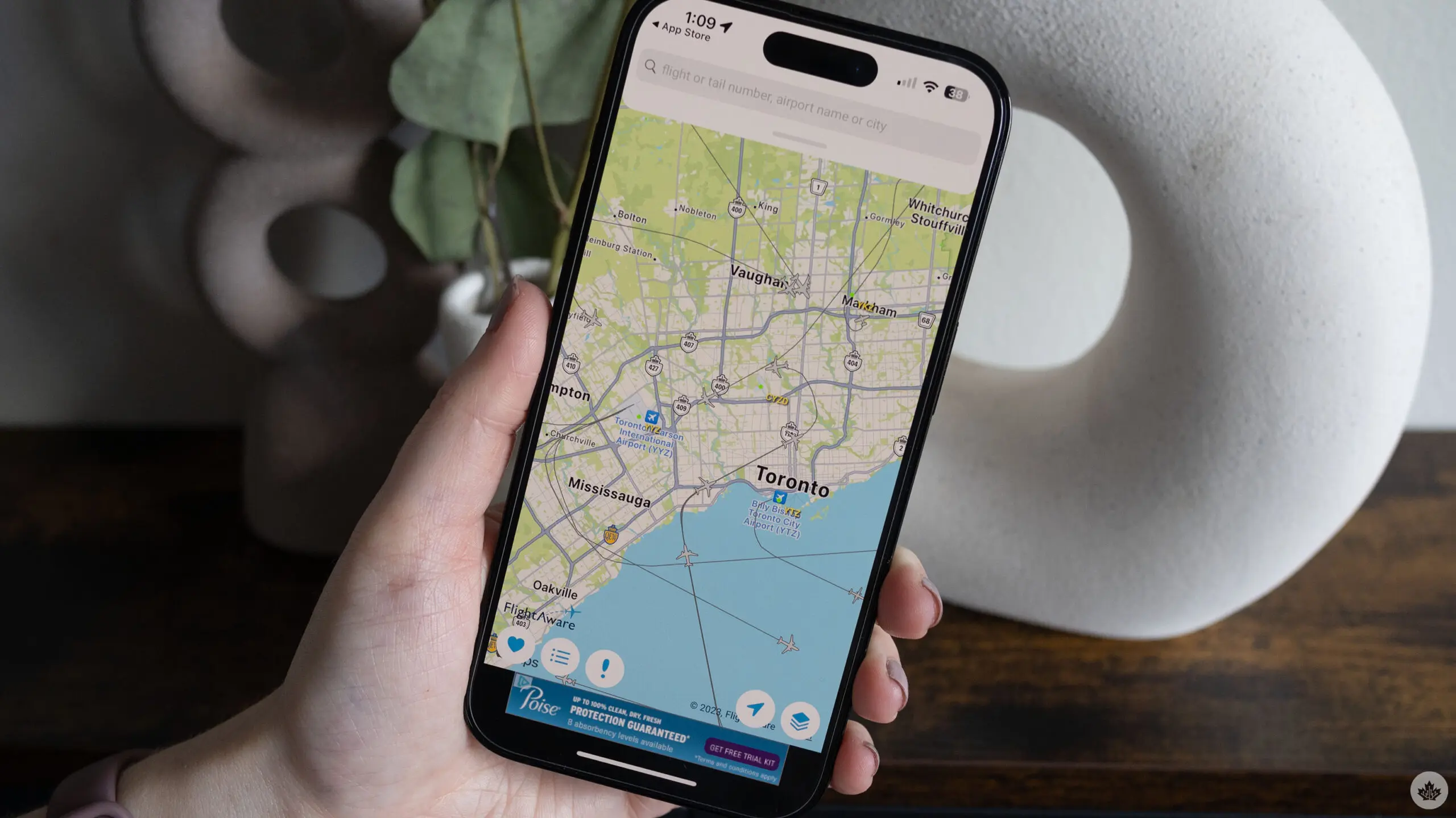 North American Free Roaming Zone May Not Happen After All 33