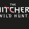 Witcher 3 Wild Hunt